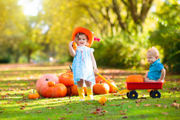 kids having fun at pumpkin patch