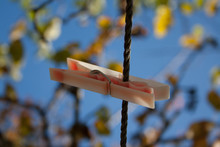 Clothespin On A Clothesline Against The Sky And Autumn Tree
