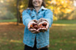 © Michał Magiera - Smiling woman holding chestnuts in her hands in an autumn park