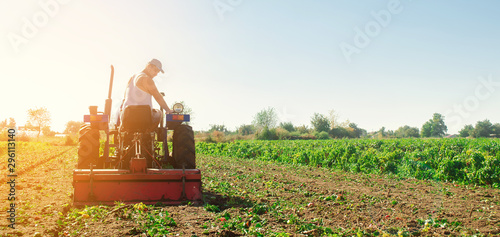 Cuadros en Lienzo Tractor cultivates the soil after harvesting