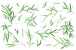Bamboo green leaves silhouettes set, clip art kit on white background