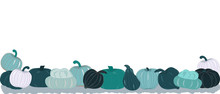 Horisontal Banner With Blue Pumpkins Variety On White