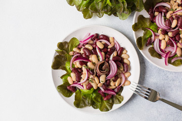 Poster - Insalata alla romana - traditional italian salad made from: beans, pickled red onions, anchovies and thyme