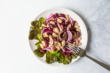 Poster - Insalata alla romana - traditional italian salad made from: beans, pickled red onions, anchovies and thyme