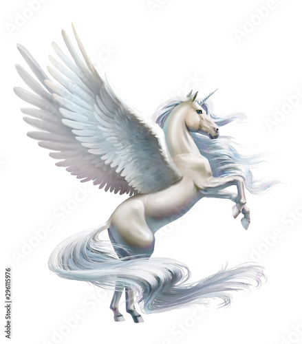 Fotografía pegasus, close-up, isolated on white