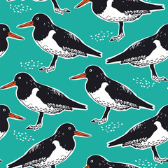 Wall Mural - Oyster catcher seamless vector pattern, hand drawn birds background