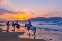 A Group Of Girls On Horseback Riding On A Sandy Beach On The Background Of The Sunset Sky