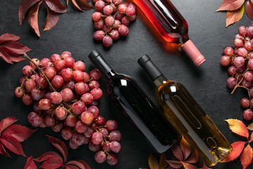 Overhead view on assortment of wine bottles lying down on a dark surface decorated with grape bunches