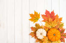 Pumpkin Maple Leaves Decoration Background Autumn Harvest Thanksgiving