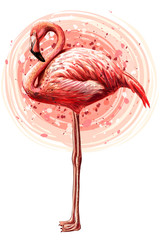 Wall Mural -  Pink flamingo. Hand-drawn, artistic, flowered image of a flamingo bird on a white background in a watercolor style.