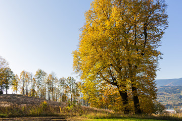 Wall Mural - Beautiful sunny day is in mountain landscape.