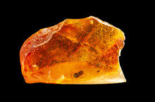 A Small Piece Of Baltic Amber With Prehistoric Insects Inside. Inclusion In Amber. Isolate On A Black Background.