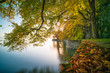 D, Bayern, Bodensee, LIndau, Lindenhofpark, atmosphärischer, goldener Oktober am Bodensee