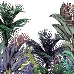 colorful tropical palm trees. rainforest scenery. hand drawn vector illustration isolated on white b