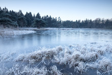 Wild Forest Lake Frozen On Winter Morning