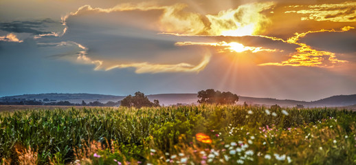 Sunset landscape Johannesburg