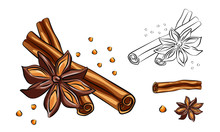 Anise Star Sketches Set. Single, Batch And Composition With Cinnamon Sticks. Herbs And Condiment Retro Style Hand Drawn Collection. Vector Illustrations.