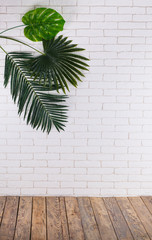 Canvas Print - tropical palm leaves, wooden floor and white brick wall