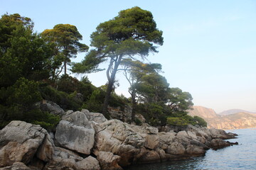 rock and sea dubrovnik croatia