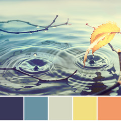 Wall Mural - Natural Fall background in blue, nawy blue, yellow and orange colors. Color matching Autumn palette from Autumn leaves in water pool, rings from water drops.