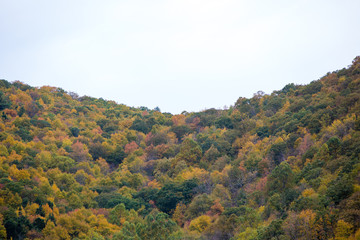 Wall Mural - colorful fall foliage trees mountains