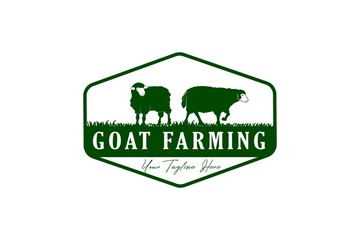 Wall Mural - goat or sheep farming vector illustration for logo or label