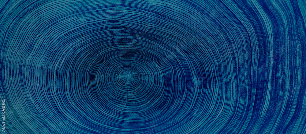 Old wooden oak tree cut surface. Detailed indigo denim blue tones of a felled tree trunk or stump. Rough organic texture of tree rings with close up of end grain. - obrazy, fototapety, plakaty 
