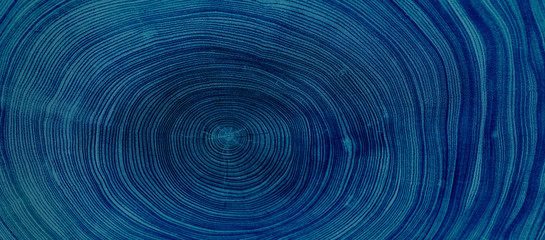 old wooden oak tree cut surface. detailed indigo denim blue tones of a felled tree trunk or stump. r