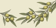 Woodcut style olive illustration