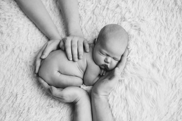 naked newborn baby lying on the hands of parents on a white background. Imitation of a baby in the womb. beautiful little girl sleeping lying on her stomach.