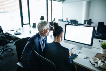 Two businesspeople with computer sitting in an office at desk. Copy space.