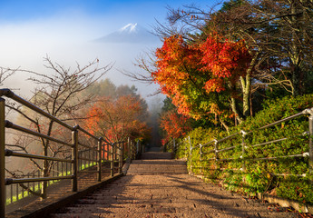 Fototapete - Stairway to Mt. Fuji Fujiyoshida, Japan