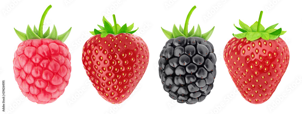 Multicolored collection of assortment of berries: strawberry, raspberry and blackberry isolated on a white background with clipping path. - obrazy, fototapety, plakaty 