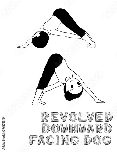 Featured image of post Downward Facing Dog Pose Cartoon Downward facing dog pose in yoga is practiced on the same principle