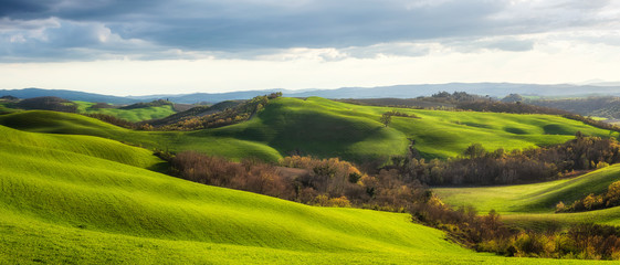spring fields in tuscany / amazing tuscany landscape with green rolling hills in spring sunny mornin