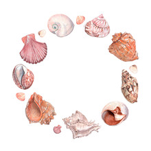 Watercolor Illustration Of Seashells Frame