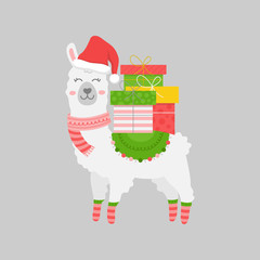 Wall Mural - Christmas llama vector illustration. Cute, festive, seasonal, holiday, trendy xmas alpaca animal with gifts, wearing santa hat, warm scarf, socks and blanket. Isolated cartoon graphic character print.