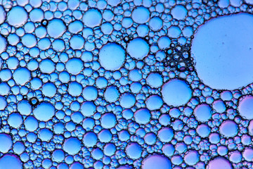 Poster - drops of water on the glass.