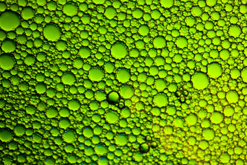 Poster - drops of water on the glass.