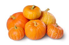A Pile Of Ripe Pumpkins Isolated On White Background.