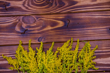 Yellow Grass On A wooden Background