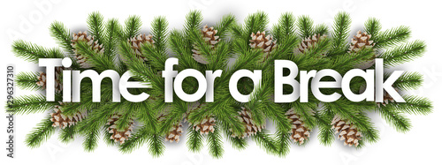 Cuadros en Lienzo Time for a Break in christmas background - pine branchs