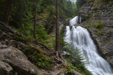 waterfall in forest