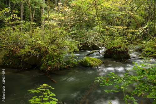 青森県奥入瀬渓流 苔むす森の渓流の景色 Kaufen Sie Dieses Foto Und Finden Sie Ahnliche Bilder Auf Adobe Stock Adobe Stock 青森県奥入瀬渓流 苔むす森の渓流の景色 Kaufen Sie Dieses Foto Und Finden Sie Ahnliche Bilder Auf Adobe Stock Adobe Stock