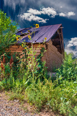 Wall Mural - Old Barn with Sunflowers