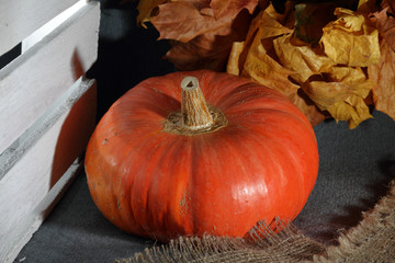 Orange ripening pumpkin near a wooden crate. Lies on a gray background. In the twilight. Nearby are dried autumn leaves and coarse linen cloth.