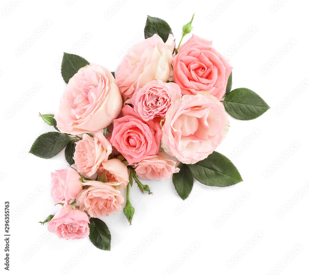 Beautiful rose flowers on white background - obrazy, fototapety, plakaty 