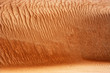 © Wolfgang Weinhaeupl/Westend61 - Oman, Rippled sand on a dune, full frame