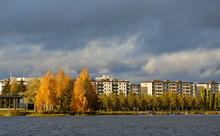 An Autumnal City View With Yellow Birches And And Steely Blue Sky