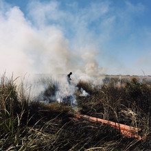 Close Up View Of Burning Dry Grass With White Smoke On Field